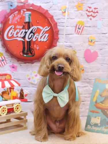 20230914紋之助くん